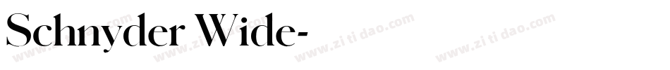 Schnyder Wide字体转换